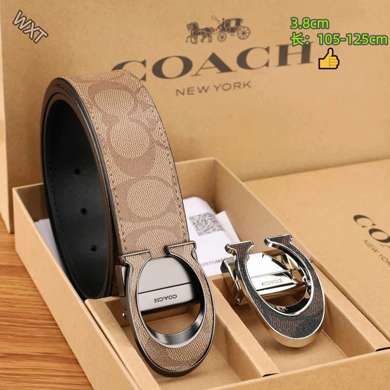 Coach belt 38mmX105-125cm 8L36